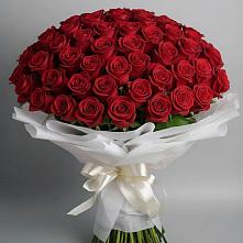 Букет 101 Красная роза Блэк Мэджик в Морозово