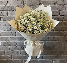 Букет цветов из:  Ромашки в Морозово