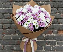 Букет цветов из:  Хризантемы #REPLACE_PRED# Морозово