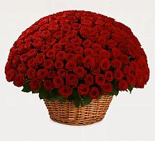 Премиум букет из: Розы в Морозово