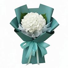 Букет цветов из:  Гортензия в Морозово